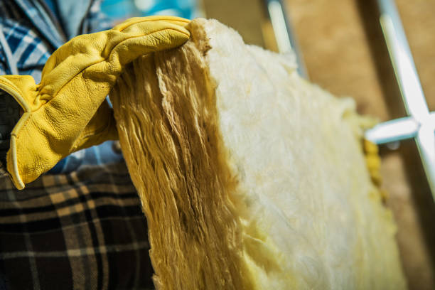 Best Insulation Maintenance and Repair in Glendale, AZ