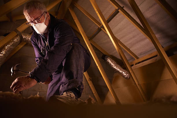 Trusted Glendale, AZ Insulation Contractor Experts
